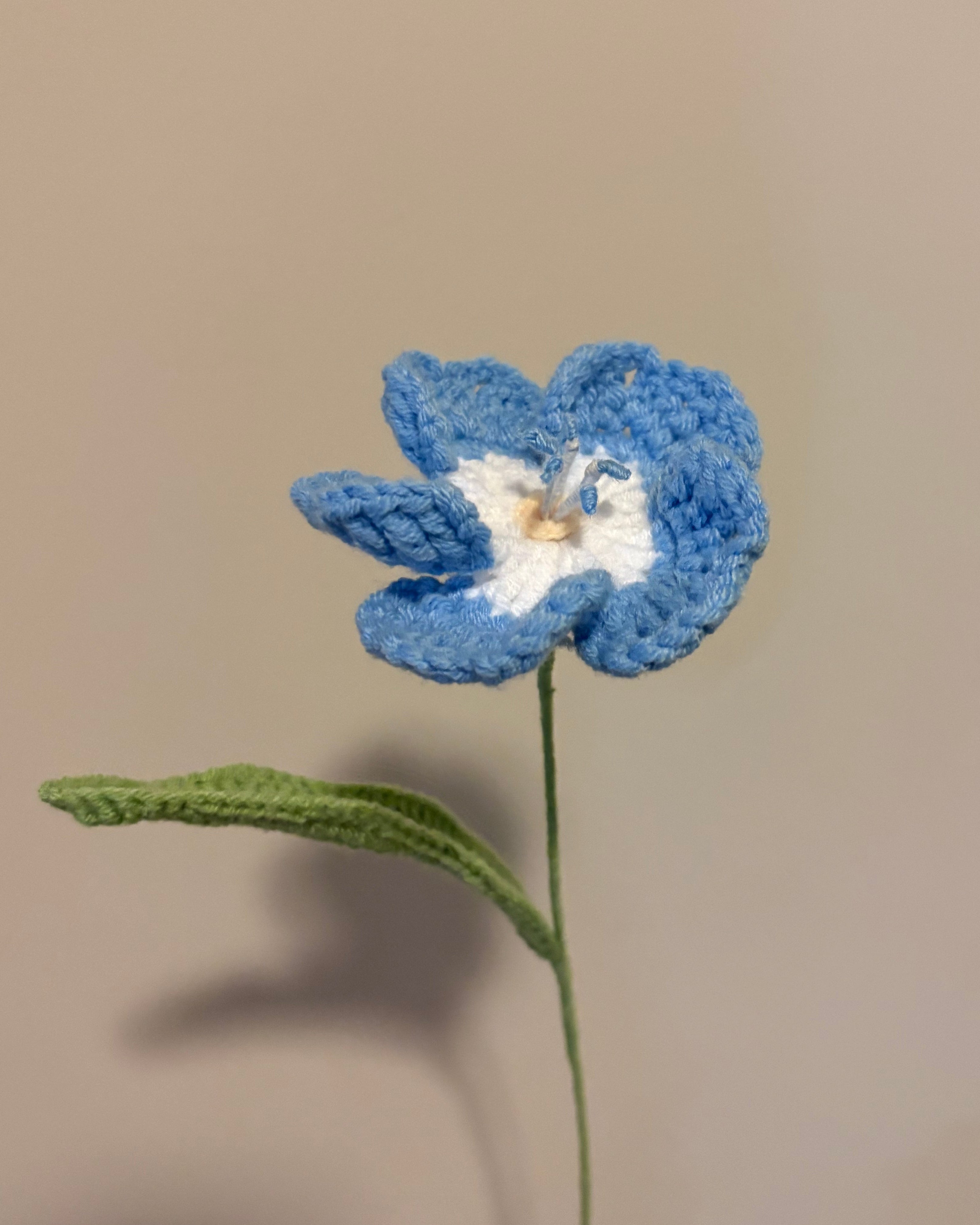 blue and white flower