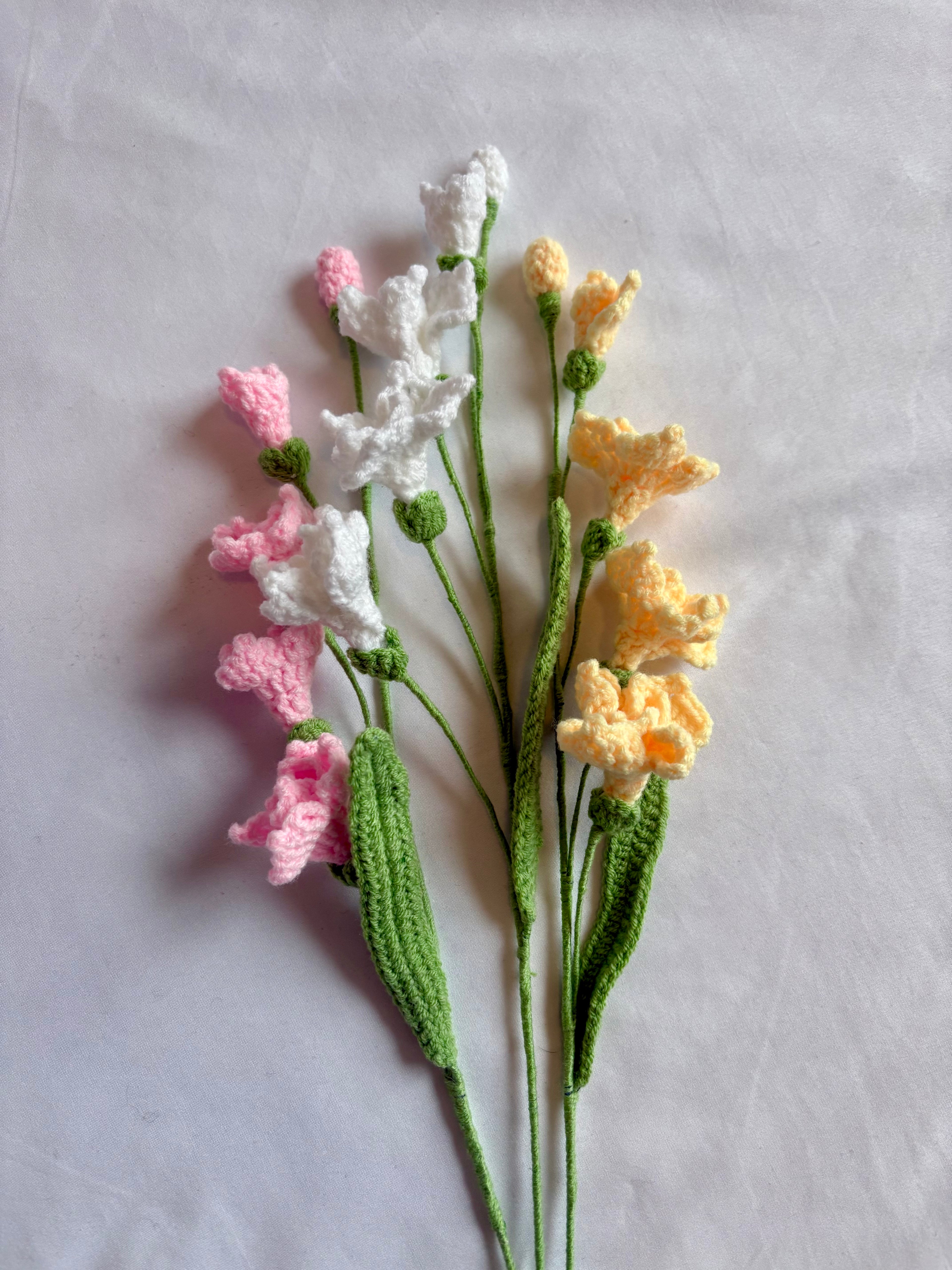 Freesia