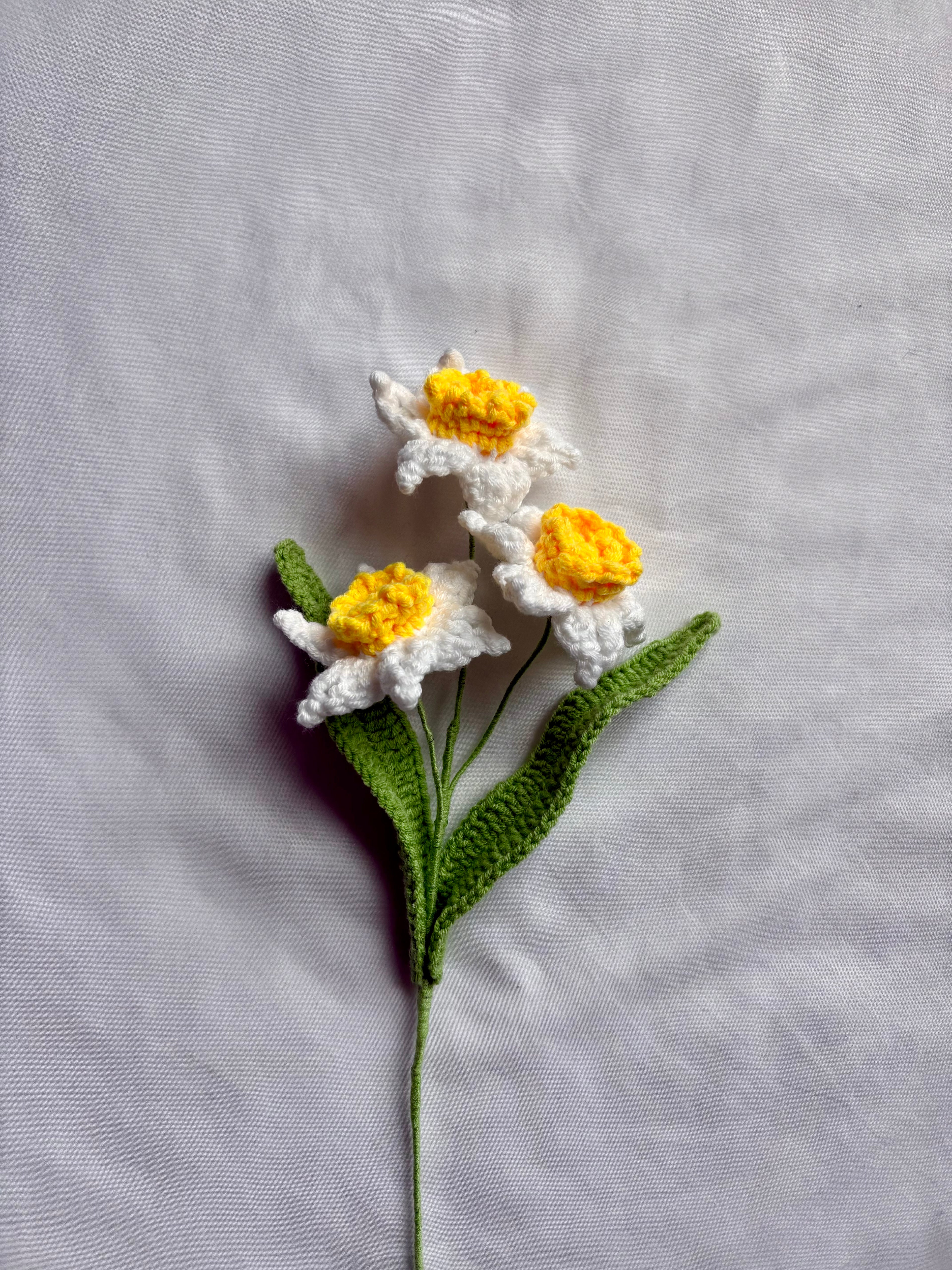 Daffodils